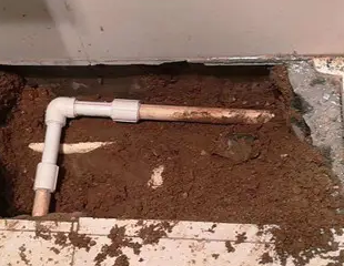 揭东测漏水哪家好